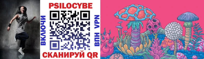 Купить закладки  Балей  Галлюциногенные грибы Cubensis 